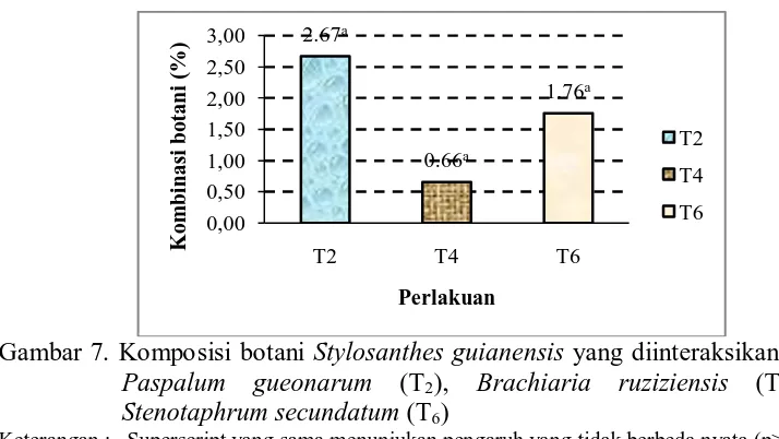 Gambar 7. Komposisi botani  Stylosanthes guianensis yang diinteraksikan dengan Paspalum gueonarum (T), Brachiaria ruziziensis (T) dan 