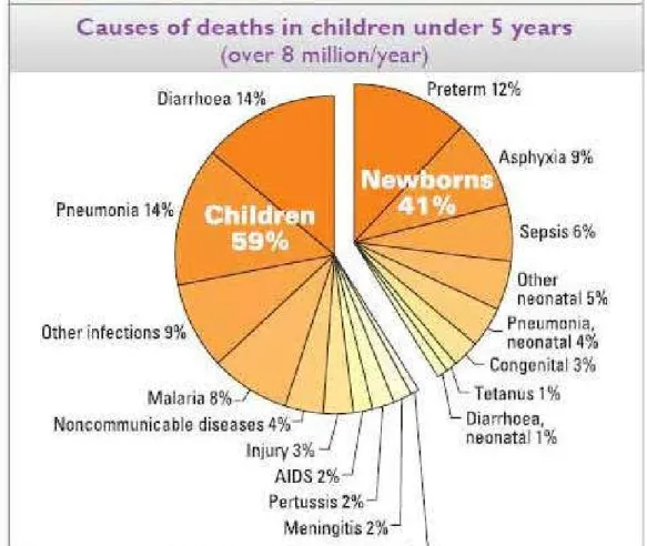 Gambar 1. Penyebab kematian anak dibawah lima tahun Sumber :WHO (2016c)
