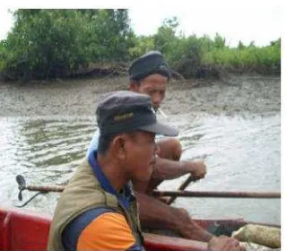 Gambar 1. Pak Tutur (mandor mangrove Segara Anakan) sedang mendekati penebang liar yang ketangkap basah membawa hasil tebangannya