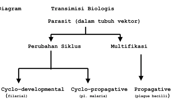 Diagram         Transimisi Biologis