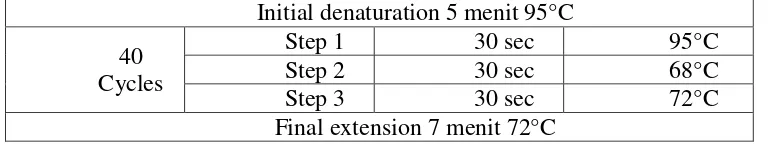 Tabel 3.1 :  Primer yang digunakan untuk amplifikasi gen rpoB kodon 516, 526,  dan 531 Multiplex-PCR dan deteksi MDR strains M