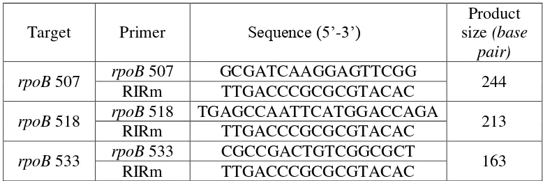 Tabel 3.3 :  Primer yang digunakan untuk amplifikasi gen rpoB kodon 507, 518 dan 533 Multiplex-PCR dan deteksi MDR strains M