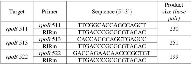 Tabel 3.4 :  Primer yang digunakan untuk amplifikasi gen rpoB kodon 511, 513, dan 522 Multiplex-PCR dan deteksi MDR strains M