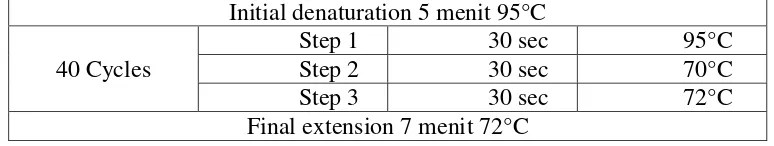 Tabel 3.6 : Kondisi Multiplex PCR Thermal cycler gen katG 