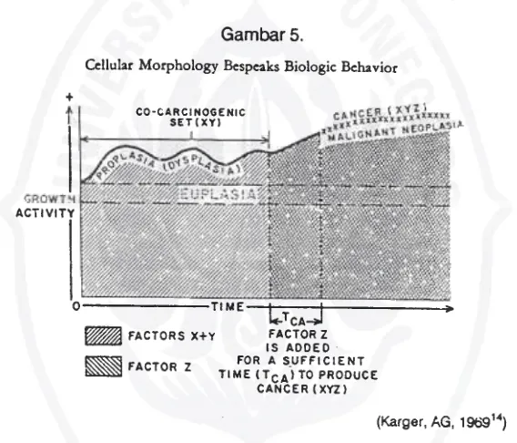 Gambar 5.Cellular Morphology Bespeaks Biologic Behavior