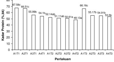 Gambar 3.  Nilai kadar protein (%, bk) 
