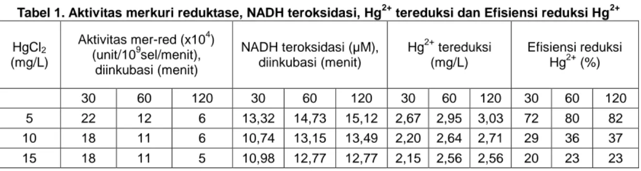 Tabel 1. Aktivitas merkuri reduktase, NADH teroksidasi, Hg 2+  tereduksi dan Efisiensi reduksi Hg 2+