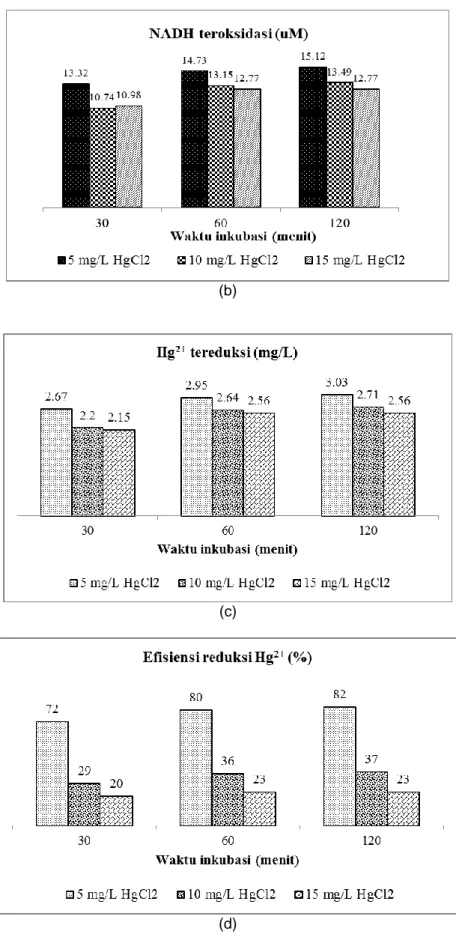 Gambar 2. a. Aktivitas merkuri reduktase, b. NADH teroksidasi, c. Hg 2+  tereduksi dan                     d