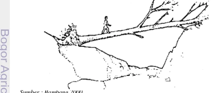 Gambar 1. Pohon yang tumbang digunakan sebagai jembatan pada masa lampau 