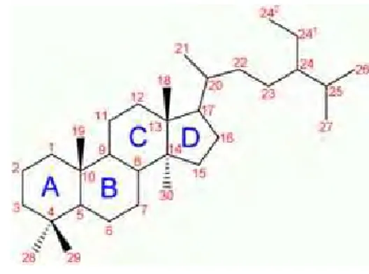 Gambar 2 Struktur inti steroid (Sumber : http://en.wikipedia.org) 