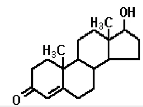 Gambar 3 Struktur testosteron (Sumber : http://encyclopedia.quickseek.com) 