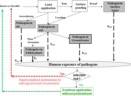 Figure 1. A schematic linking biosolids and manure application to human exposure. 