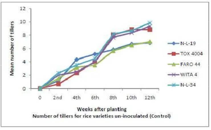 Figure 9.Response of Un-Inoculated Rice Varieties (control) with Respect to  