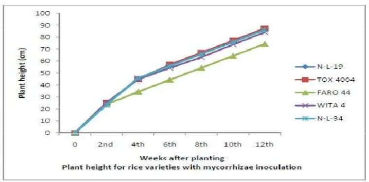 Figure 1.Response of Rice Varieties to Mycorrhizae Inoculation with Respect  