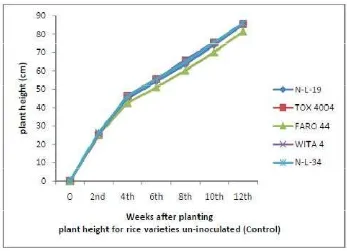 Figure 2.Response of Rice Varieties to Rhizobium Inoculation with Respect to 