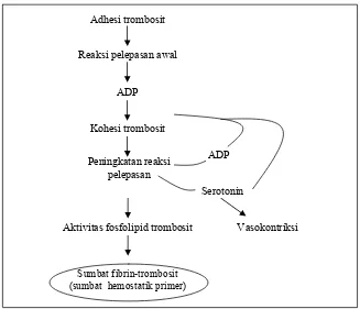 Gambar 1. Fungsi trombosit.9