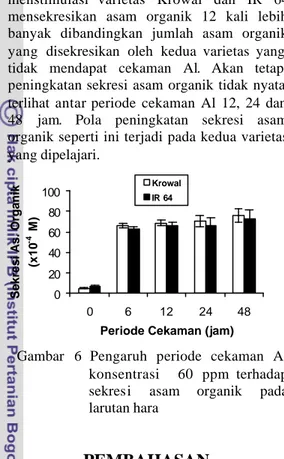 Gambar  6  Pengaruh periode cekaman Al  konsentrasi  60 ppm  terhadap  sekresi asam  organik pada  larutan hara 