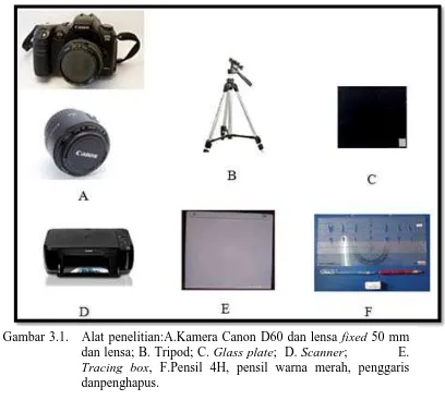 Gambar 3.1.   Alat penelitian:A.Kamera Canon D60 dan lensa fixed 50 mm dan lensa; B. Tripod; C