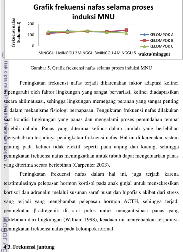 Gambar 5. Grafik frekuensi nafas selama proses induksi MNU 