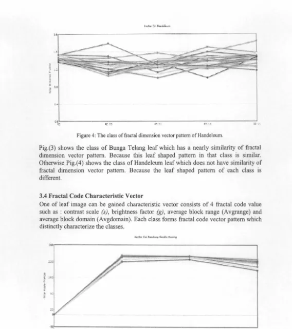 Figure 4: The class of fractal dimension vector pattern of Handeleum. 