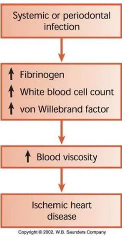 Gambar 1. Pengaruh infeksi pada viskositas darah, peningkatan plasma fibrinogen dan von wallebrand factor menyebabkan hiperkoagulasi.1  