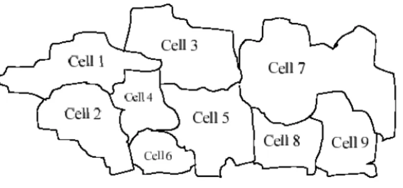 Gambar 2.2  Bentuk sel sebenarnya 