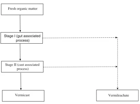 Fig. 1 Schematic stages in vermicomposting process