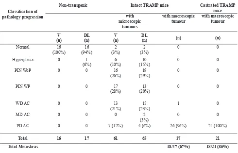 Table 1. Classiication of prostate pathologic progression in non-transgenic mice, intact and castrated TRAMP model