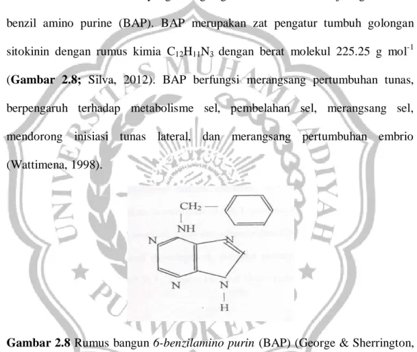 Gambar 2.8 Rumus  bangun 6-benzilamino purin  (BAP) (George &amp; Sherrington, 