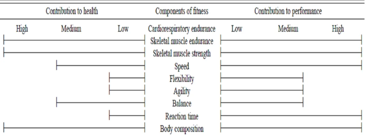 Tabel  2.1.  Komponen  kebugaran  fisik  dan  hubungannya  antara kesehatan  dan keterampilan (Haskell dan Kiernan, 2000).