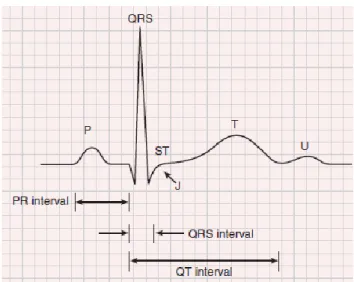 Gambar 2.1 Gelombang-gelombang dan interval EKG normal  (Goldberger, 2015) 