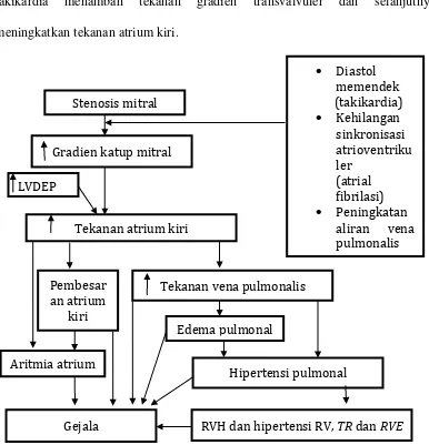 Gambar 1. Patofisiologi gejala stenosis mitral8 