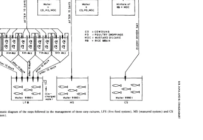 Fig. 1. Schematic diagram of the steps followed in the management of three carp cultures, LFS (live food system), MS (manured system) and CS (control system ) 