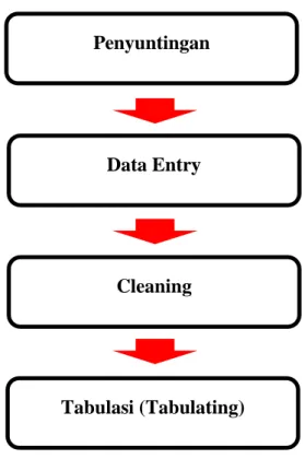 Gambar 3.3 Langkah-langkah pengolahan data Penyuntingan 