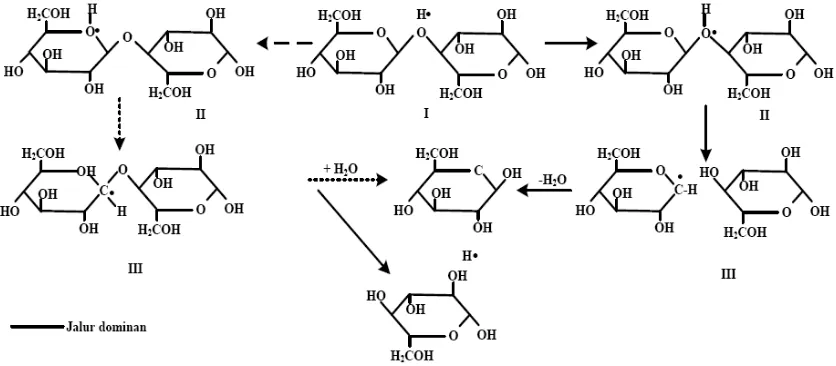 Gambar 2.3.1.2.2.Mekanisme hidrolisa selulosa 