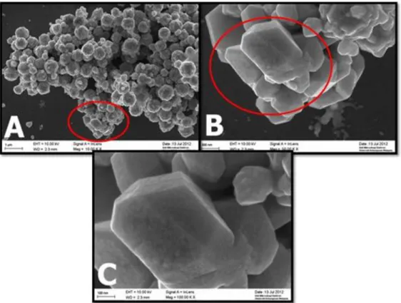 Gambar 4. Foto FESEM nanopartikel perak dengan konsentrasi larutan PVP 0,8 mM dan  volume larutan asam askorbit 0,20 mL 