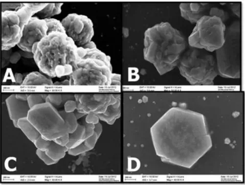Gambar  5.  Foto  FESEM  perbandingan  pengaruh  variasi  volume  asam  askorbit  terhadap  bentuk nanopartikel perak 