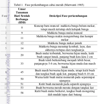 Tabel 1   Fase perkembangan cabai merah (Marwanti 1985) 