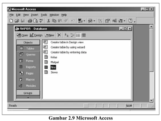 Gambar 2.9 Microsoft Access