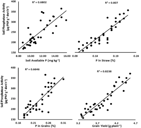 Table 7: Effect of PSB inoculation and poultry manure (PM) rhizosphere phosphatase activity 