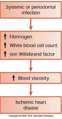 Gambar 1. Pengaruh infeksi pada viskositas darah, peningkatan plasma fibrinogen dan von wallebrand factor menyebabkan hiperkoagulasi (Mealey, et al