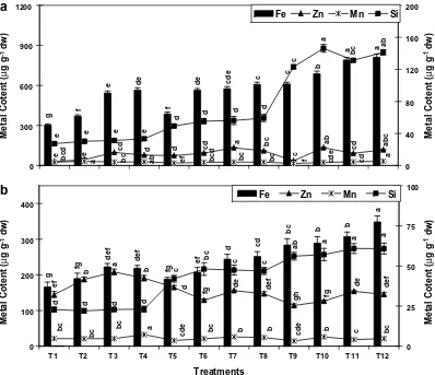 Fig. 2. Accumulation of Fe, Zn, Mn and Si in seed coat (a) and seeds (b) of rice variety Saryu-52 grown in various amendments of garden soil (GS), ﬂy-ash(FA), chemical fertilizer (NF) and blue green algae biofertilizer (BGA)