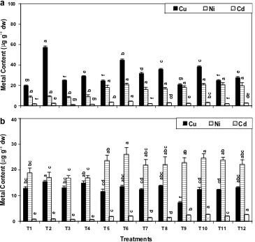 Fig. 3. Accumulation of Cu, Ni and Cd in roots (a) and leaves (b) of rice variety Saryu-52 grown in various amendments of garden soil (GS), ﬂy-ash (FA),chemical fertilizer (NF) and blue green algae biofertilizer (BGA)