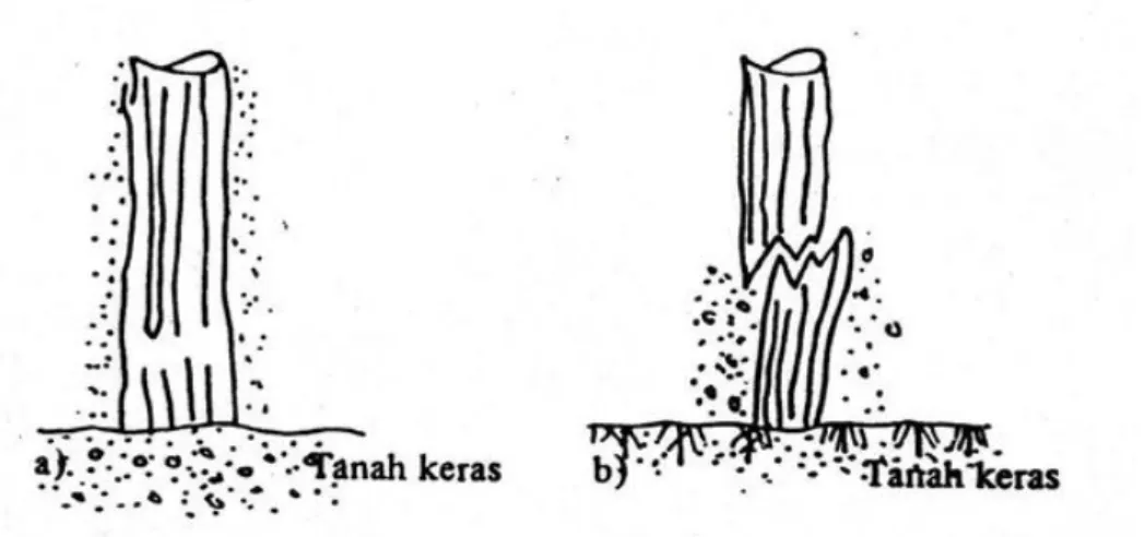 Gambar 2.3 Tiang pancang kayu (Sardjono, 1991) 