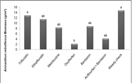 Fig. 3. Comparison of Chenopodium album dry weight in treatment's experiment.  Mean within each column followed by same letter are not significantly different (Duncan 5%)