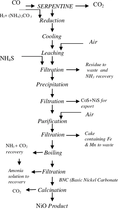 Gambar 1. Diagram alir pengolahan serpentine dengan proses caron  di Nicaro [8] 