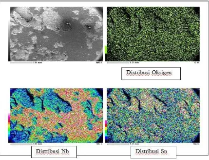 Gambar 13. Hasil mapping dengan komposisi 24%Sn, 700 °C, 96 jam 