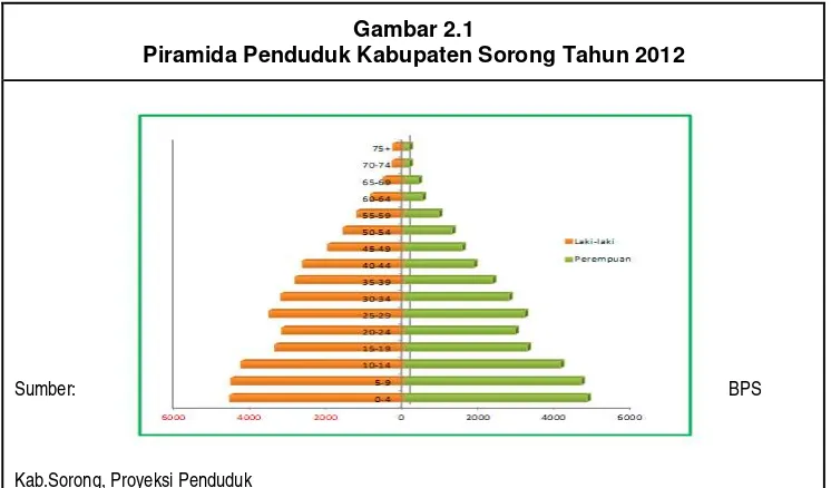 Gambar 2.1  Piramida Penduduk Kabupaten Sorong Tahun 2012