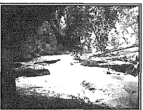 Gambar 10. Aliran Sungai dari Rian Penruik 