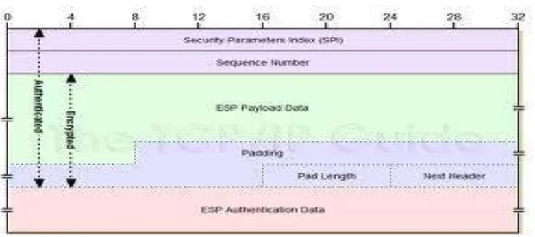 Gambar 2.5 Encapsulating Security Payload (ESP) Packet Header 